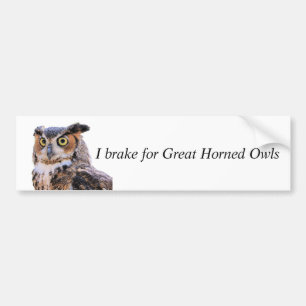 Bumper Sticker Brake pour les chouettes à cornes