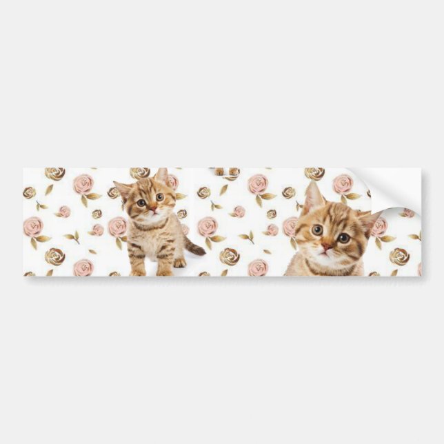 Bumper Sticker Cat Kittens Meow (Front)
