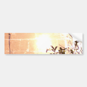 Bumper Sticker COOL ECO DESIGN