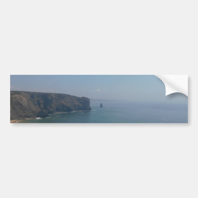 Bumper Sticker COOL ECO STYLE (Front)