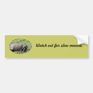 Bumper Sticker, Gopher Tortoise Sticker