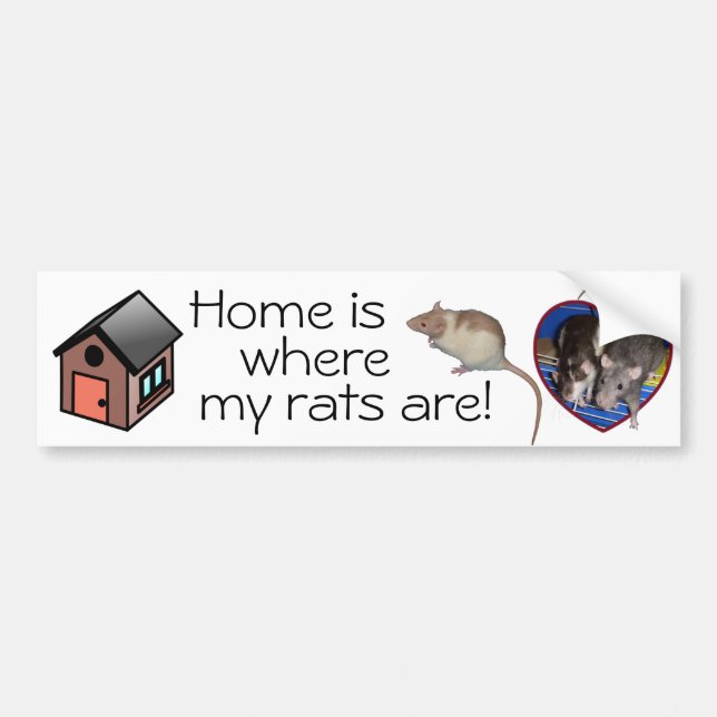 Bumper Sticker: Home is where my rats are! Bumper Sticker (Front)