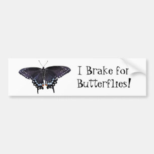 Bumper Sticker I Brake for Butterflies Swallowtail