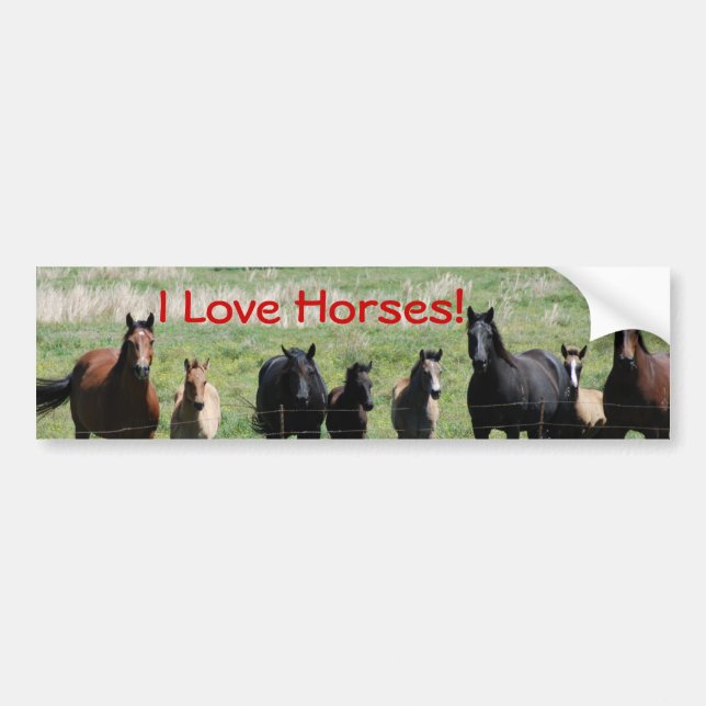 Bumper Sticker - I Love Horses! (Front)