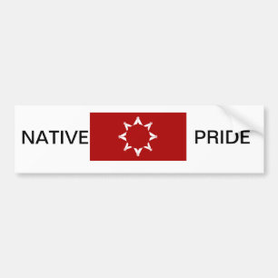 BUMPER STICKER -LAKOTA