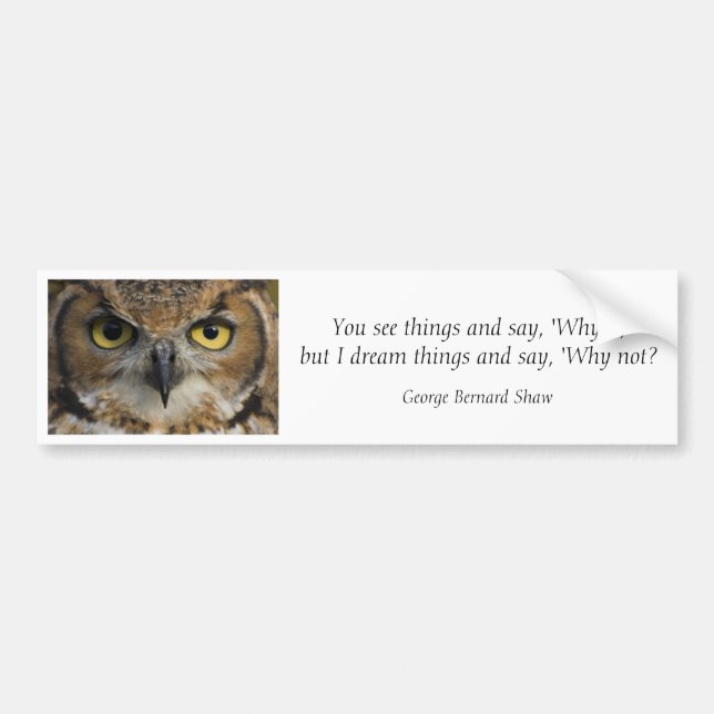 Bumper Sticker - Owls Eyes with quote (Front)