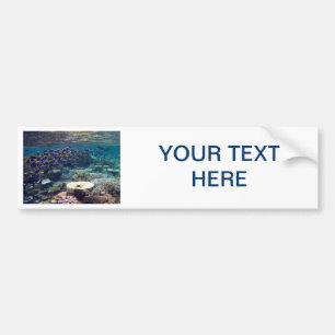 Bumper Sticker - Powder Blue Surgeon Fish