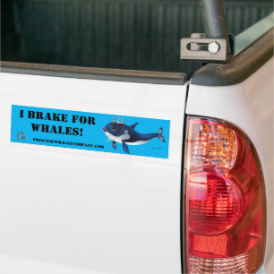 Bumper Sticker Princess Starr I Frein Pour Baleine