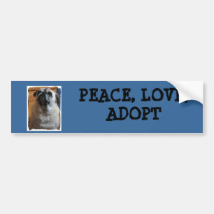 Bumper Sticker with pug