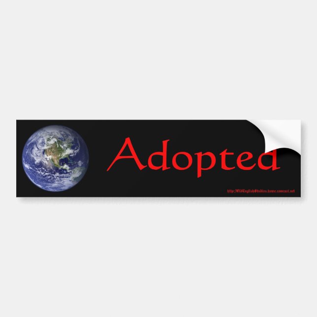 bumpersticker bumper sticker (Front)