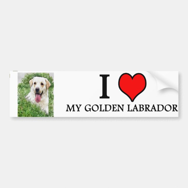 bumpersticker GOLDEN LABRADOR Bumper Sticker (Front)