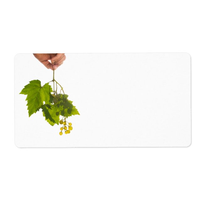 Bunch de raisin (Devant)