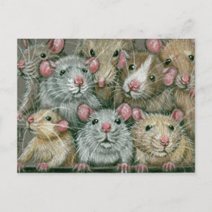 Bunch de Rats à Rattie Reunion Carte postale