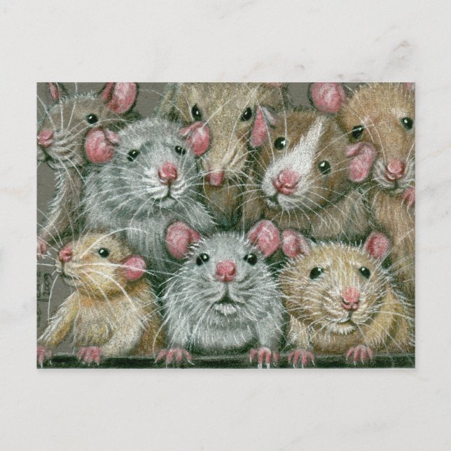 Bunch de Rats à Rattie Reunion Carte postale (Devant)