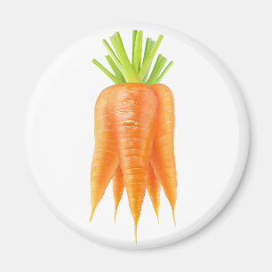 Bunch of carrots magnet
