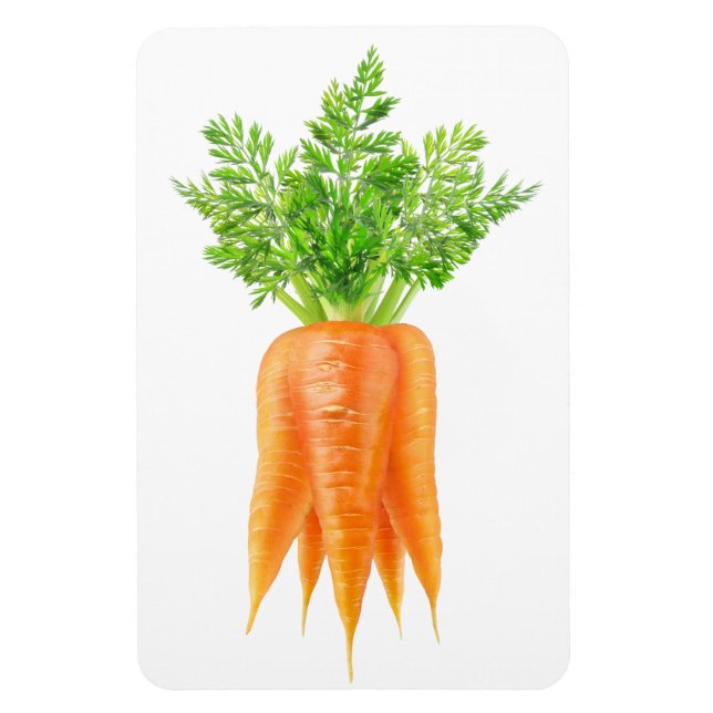 Bunch of carrots magnet (Vertical)