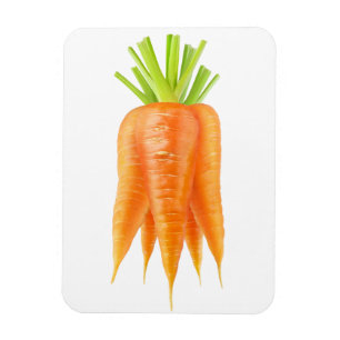 Bunch of carrots magnet