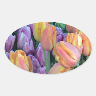 Bunch of colorful tulips oval sticker