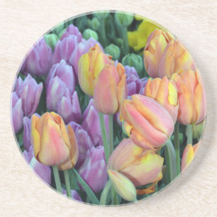 Bunch of colourful tulips coaster