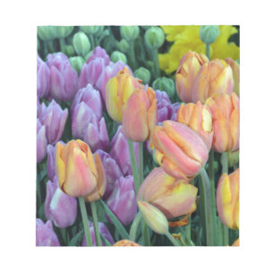 Bunch of colourful tulips notepad