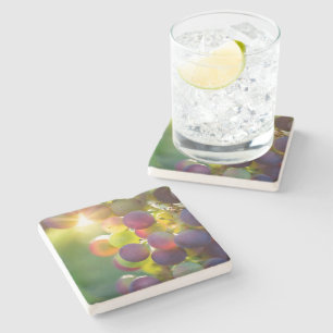 Bunch of Grapes Stone Coaster