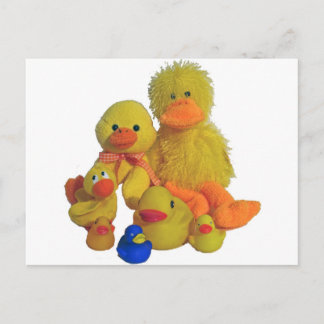buncha ducks postcard