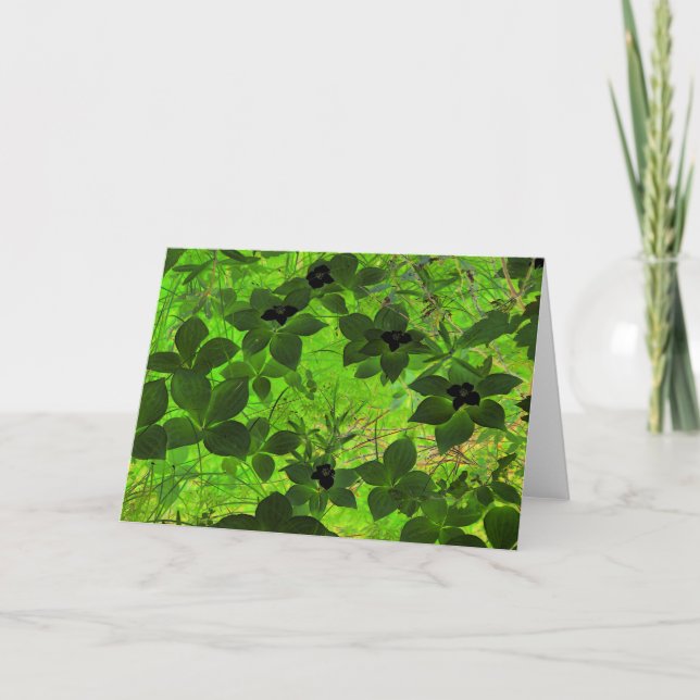 "Bunchberries" Digitally Edited Photo Green Plants Card (Front)