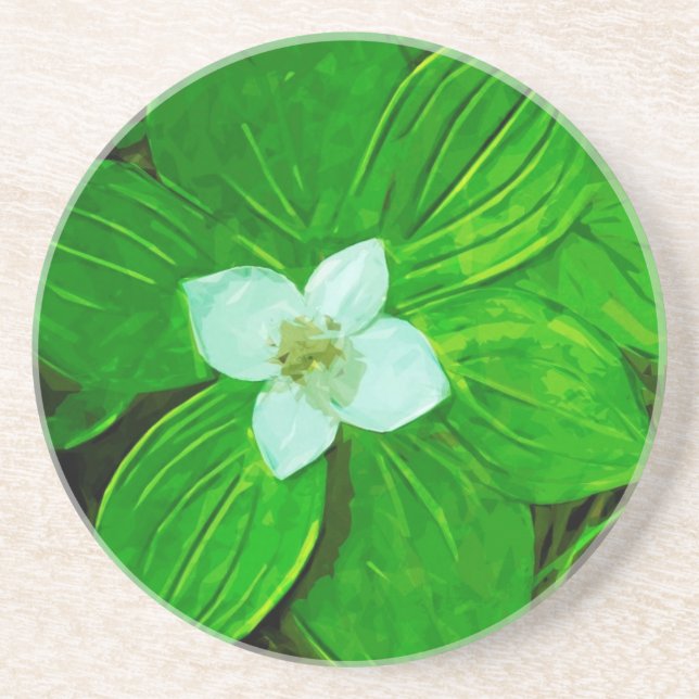 Bunchberry White Wildflower Coaster (Front)