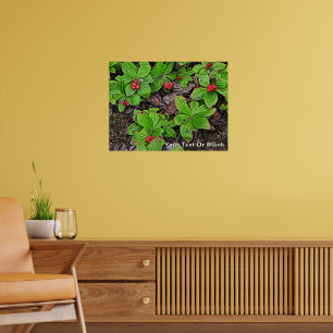 Bunchberry With Berries Poster