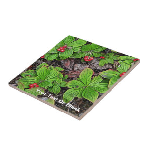 Bunchberry With Berries Tile