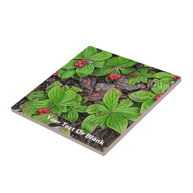 Bunchberry With Berries Tile (Side)