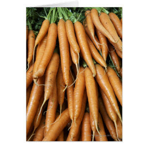 Bunches of carrots, full frame