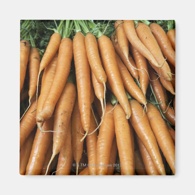 Bunches of carrots, full frame magnet (Front)