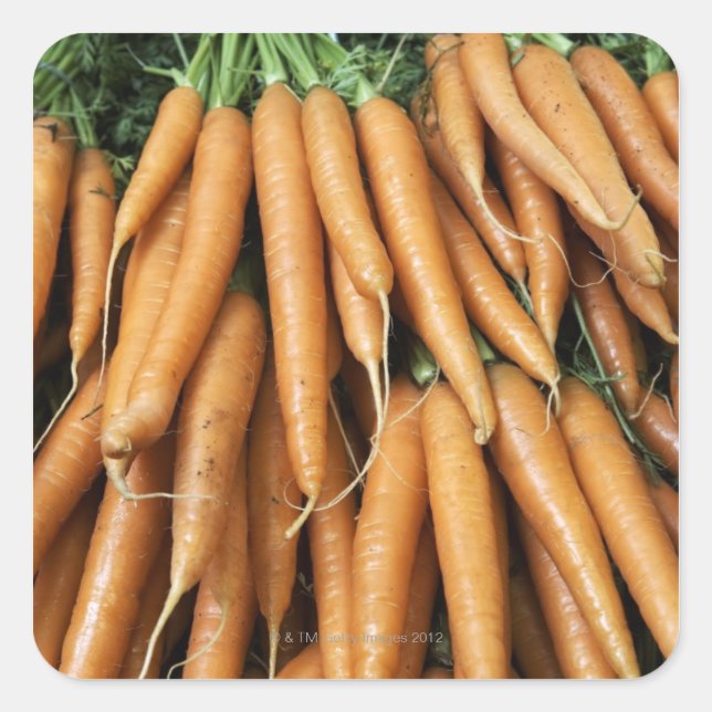 Bunches of carrots, full frame square sticker (Front)