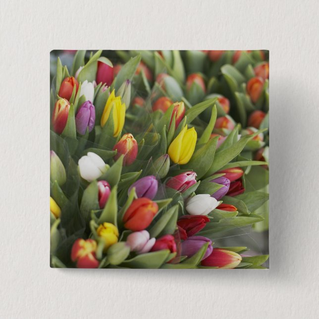 Bunches of colourful tulips 2 inch square button (Front)