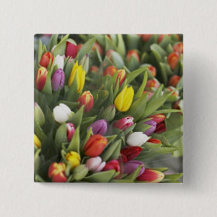 Bunches of colourful tulips 2 inch square button