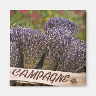 Bunches of lavender for sale, Vence, Provence, Magnet
