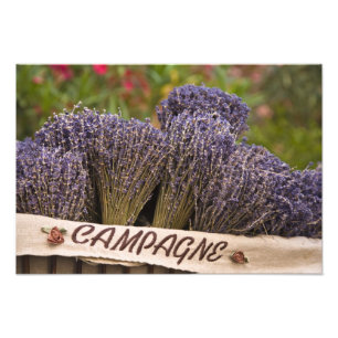 Bunches of lavender for sale, Vence, Provence, Photo Print
