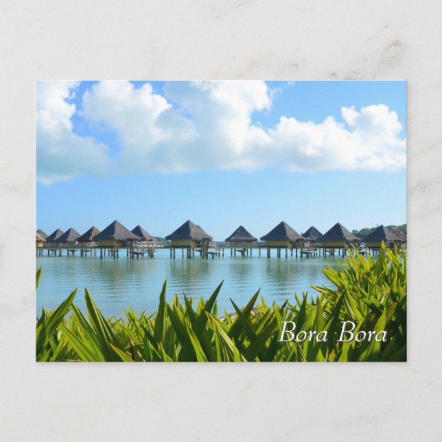 Bungalows in Bora Bora  Postcard (Front)