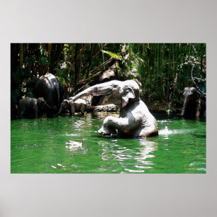 Bungle dans la jungle 36 x 24 Poster