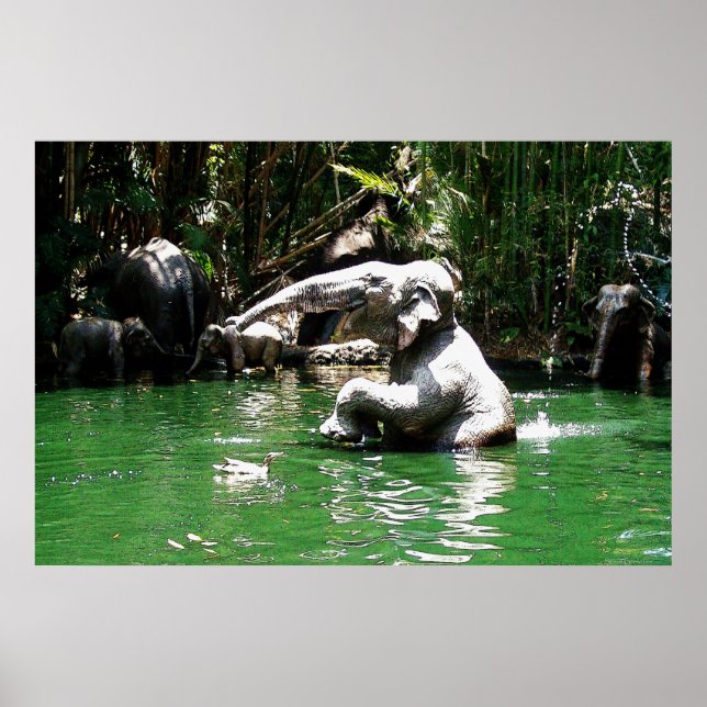 Bungle dans la jungle 36 x 24 Poster (Devant)