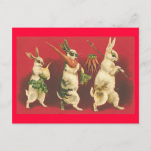 Bunnies and Carrots Postcard