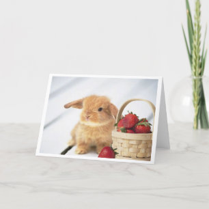 Bunnies and Strawberries Card