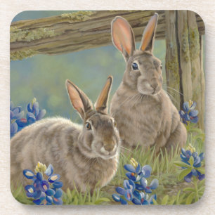 Bunnies & Bluebonnets Coaster