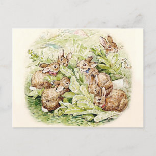 Bunnies in the Lettuce Patch by Beatrix Potter Postcard