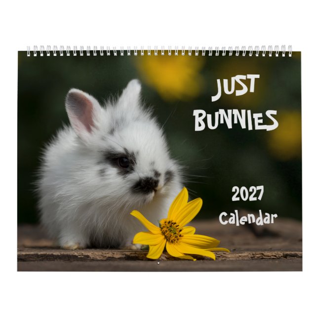 Bunnies Large Wall Calendar (Cover)