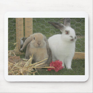 Bunnies Mouse Pad