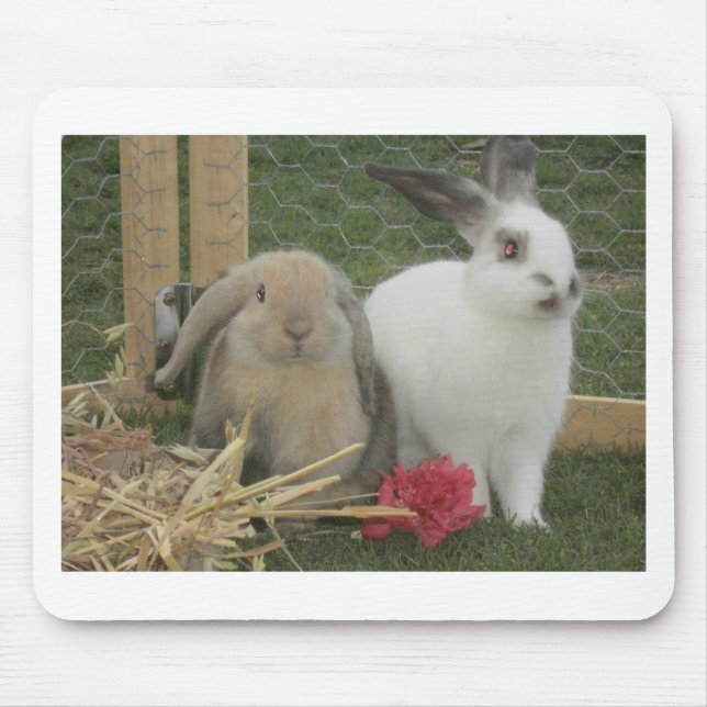 Bunnies Mouse Pad (Front)
