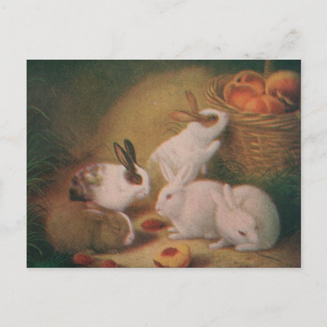 Bunnies Postcard (Front)