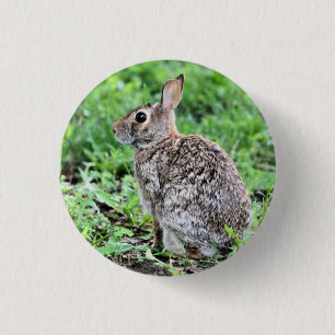 Bunny 1 inch round button